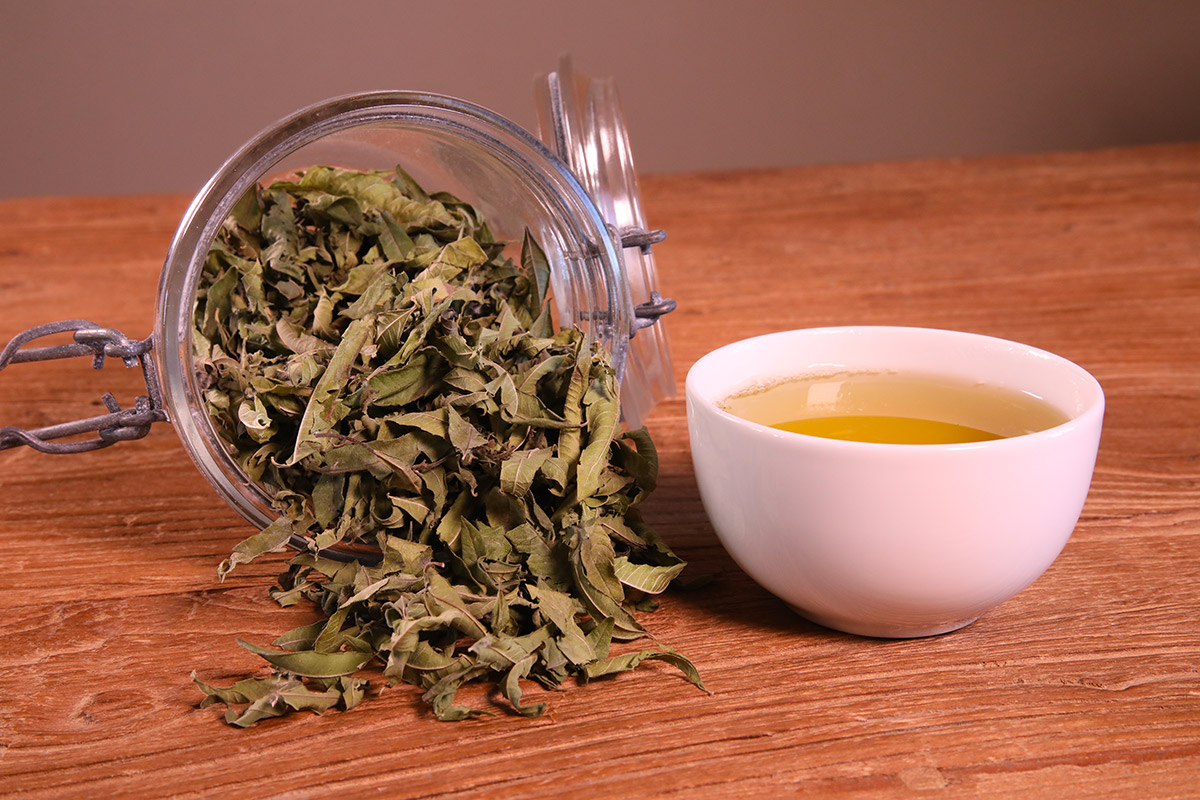 Tisane infusion verveine reussir